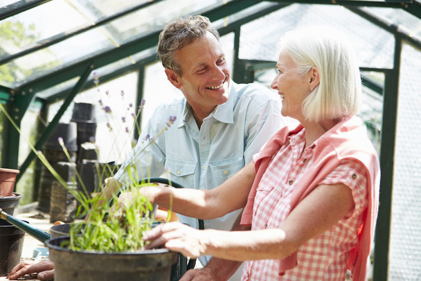 Couple Working Together In Greenhouse - Foto, Bild