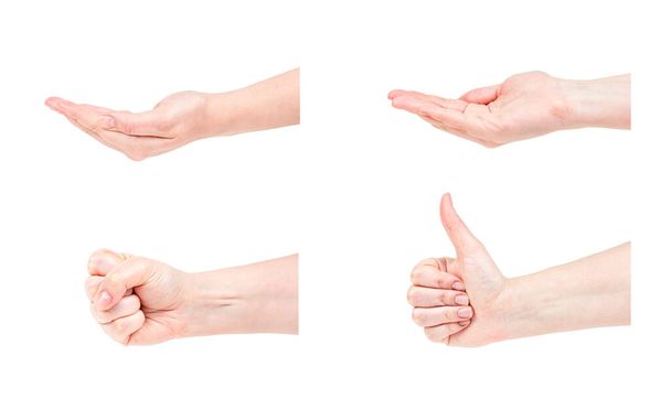 Caucásico mujer manos gestos conjunto aislado sobre fondo blanco. - Foto, Imagen