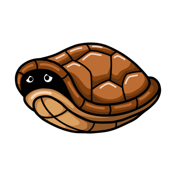 Vector illustration of Cute turtle cartoon hides in its shell - Vector, Image