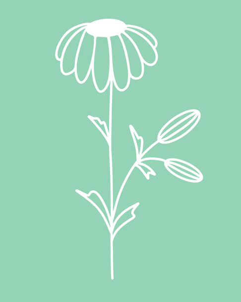 Chamomile flower silhouette, vector. Illustration of a flower on a stem. Simple botanical white element. Hand drawing, contour. - Wektor, obraz