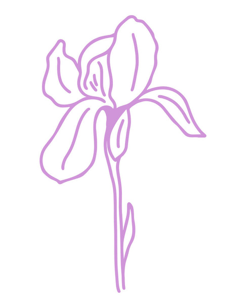 Silhouette of delicate purple iris flower, vector. An illustration of an elegant garden flower. Outline beautiful botanical element. Modern trendy flower contour. - Vektor, kép