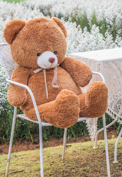 白い椅子の上の茶色のクマの人形 - 写真・画像