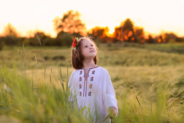 Ukraynalı, nakışlı gömleği olan, saçında gelincik çiçeği olan, olgunlaşan bir kulak tarlasında elinde buğday kulakları tutan tatlı bir kız. Ukrayna 'nın Bağımsızlık Günü, Anayasa Günü, Nakış - Fotoğraf, Görsel