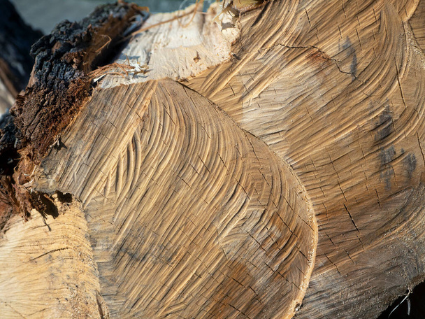 En la superficie aserrada del árbol, se pueden ver trazas arqueadas dirigidas diagonalmente. Textura de primer plano de madera. Fondo abstracto natural con textura de madera. - Foto, Imagen