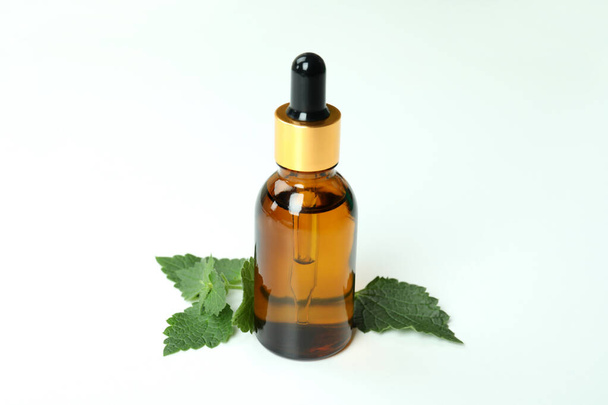 Botella de aceite de esencia de ortiga sobre fondo blanco - Foto, Imagen