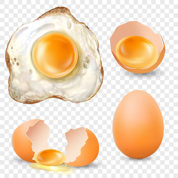 Реалистичное жареное яйцо, Разбитое, Свежее и цельное коричневое куриное яйцо, Вектор EPS10 - Вектор,изображение