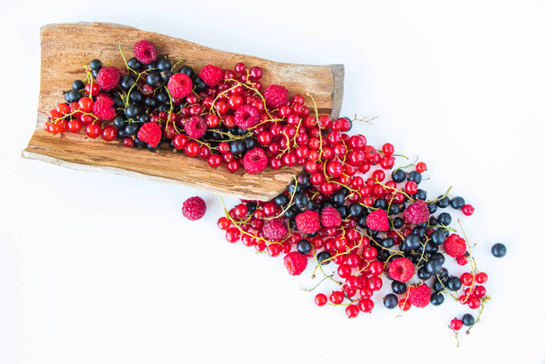 Red and black currant and loganberries on the white background. Large group of colorful berries. - Photo, Image