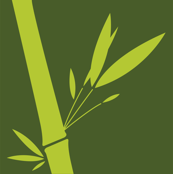 Зелений бамбуковий лист. Векторні ілюстрації
. - Вектор, зображення