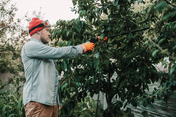 Mann versprüht befallenen Baum mit Insektizid-Seife, Landwirt versprüht giftige Pestizide oder Insektizide auf Obstplantage - Foto, Bild