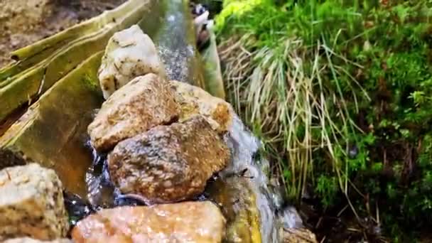 Un pequeño arroyo fluye a través de las rocas del bosque - Imágenes, Vídeo