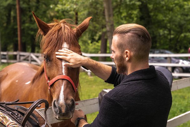 Young beautiful man petting a horse - Photo, image