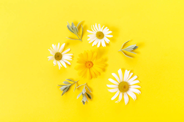 Weiße und gelbe Kamillenblüten auf gelbem Hintergrund. Frühling, Sommer. Flache Lage, Draufsicht - Foto, Bild
