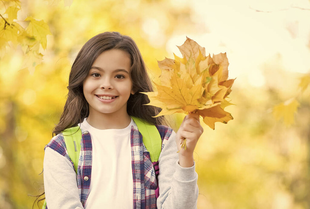Zkoumání světa. sezónní počasí. štěstí z dětství. krása a příroda. Šťastné dítě v neformálním stylu. dospívající dívka nosit batoh na cestě do školy. dítě v podzimním lese. podzimní javorové listy v parku - Fotografie, Obrázek