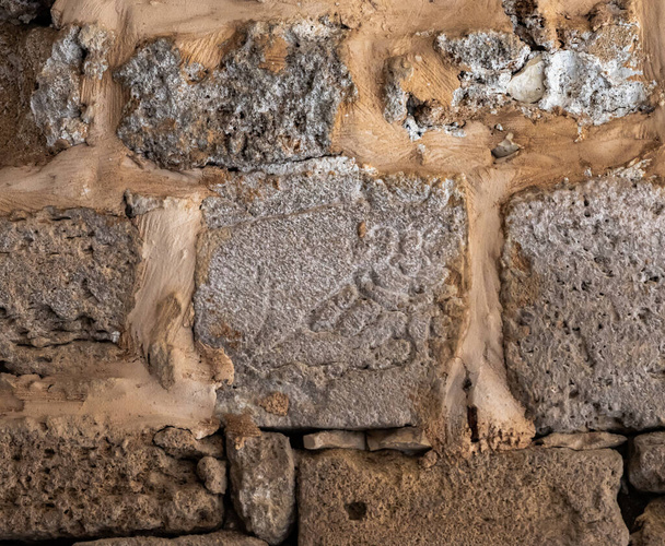 The Guardian Gargoyle вырезана в камне напротив входа в греческий собор Святого Георгия в старом городе Акре на севере Израиля - Фото, изображение
