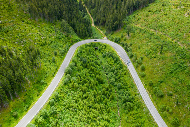 Ormandaki dolambaçlı yolun havadan görünüşü - Fotoğraf, Görsel