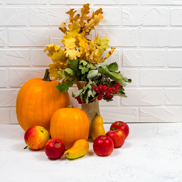 Natureza morta com abóbora madura, maçãs, pêras e folhas de outono em um contexto branco. Fechar o fundo da colheita outono - Foto, Imagem