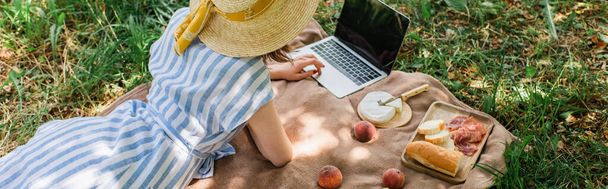 Top view of woman in sun hat using laptop near food in park, banner  - Foto, afbeelding