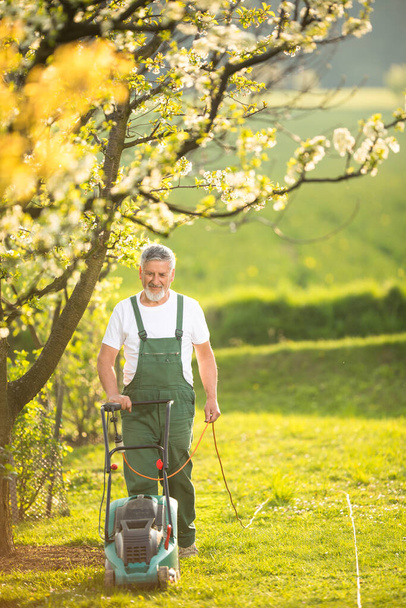 Portrait of senior man gardening, taking care of his lovely orchard, ejoying actively his retirement - Foto, imagen