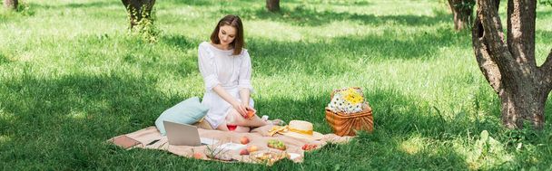 Woman in dress holding fruit and looking at laptop during picnic in park, banner  - 写真・画像
