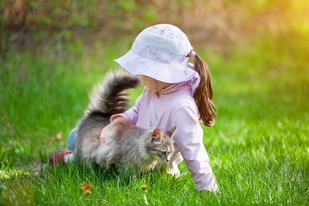 Chica jugando con el gato en la hierba
 - Foto, imagen