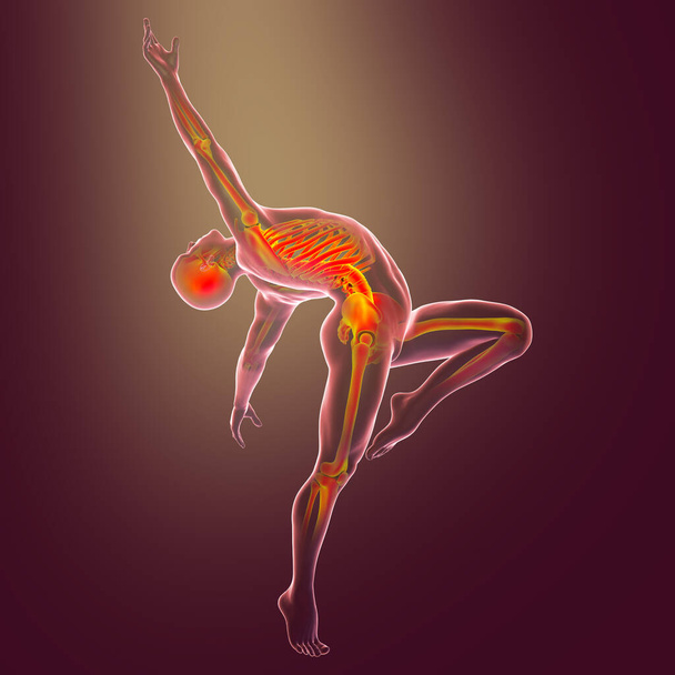 Анатомия танца и балета, 3D иллюстрация. Мужчина в балетной позе с выделенным скелетом показывает скелетную активность в балетных танцах - Фото, изображение