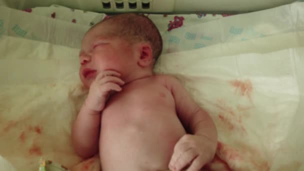 Bebé recién nacido está llorando en una mesa en el hospital de maternidad - Imágenes, Vídeo