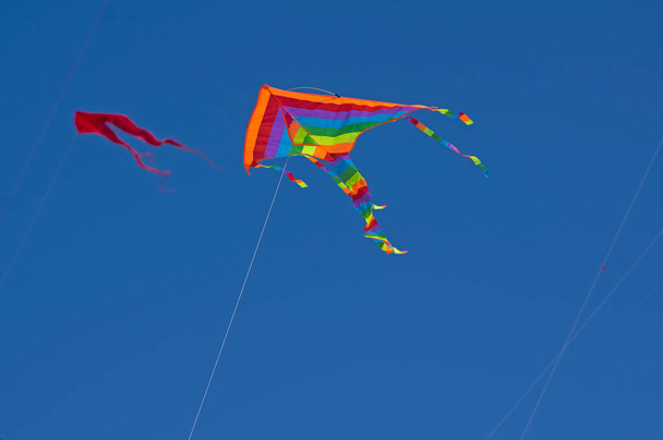 Isolated rainbow color kite flying in the blue sky - Photo, Image