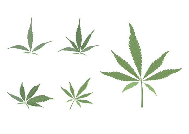 Cannabis herb object for medical treatment vector ep05 - Vector, Image