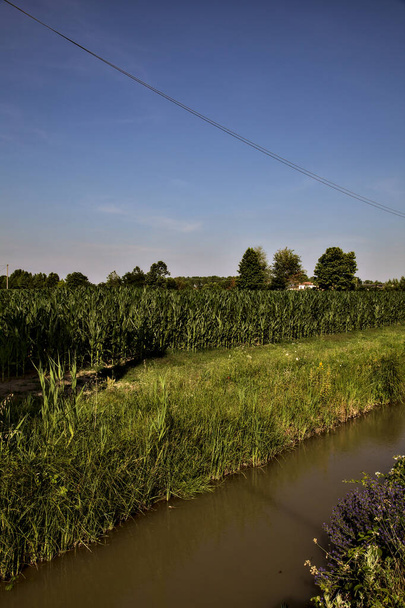 Потік води між полями в сільській місцевості влітку на заході сонця
 - Фото, зображення