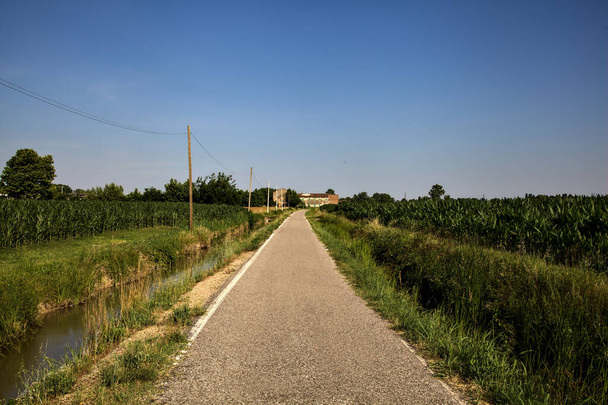 Road with a stream of water by the edge of it and fields next to it in the italian countryside in summer at sunset - Photo, Image