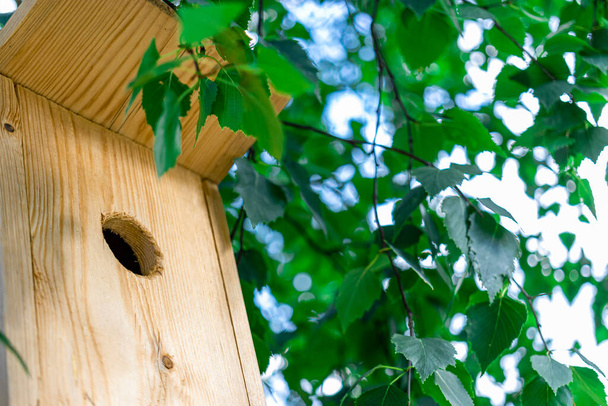 Birdhouse su un albero primo piano. Prendersi cura degli uccelli e dell'ambiente. Alimentatori di uccelli. Sostegno agli uccelli e agli animali - Foto, immagini