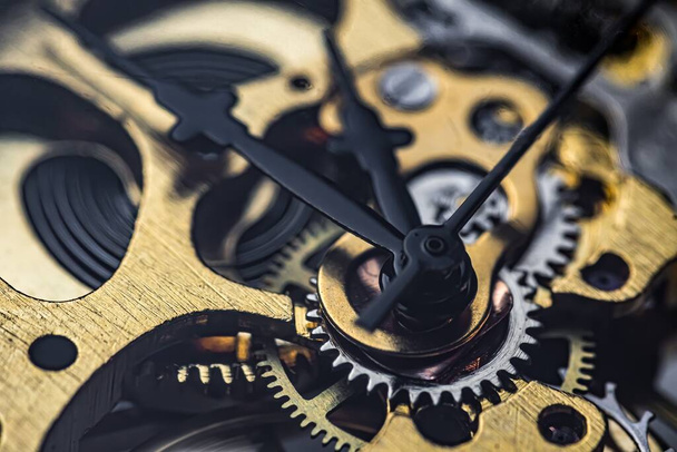 Gears and cogs inside clock. Close-up view on retro watches. - Photo, Image