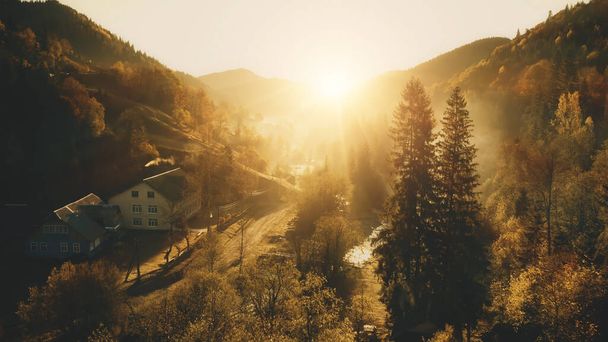 Sun over mountain village aerial. Autumn nature landscape. Sunny pine trees forest at cottages - 写真・画像