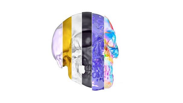 3d ілюстрація частин черепа різних текстур, з'єднаних між собою
 - Фото, зображення