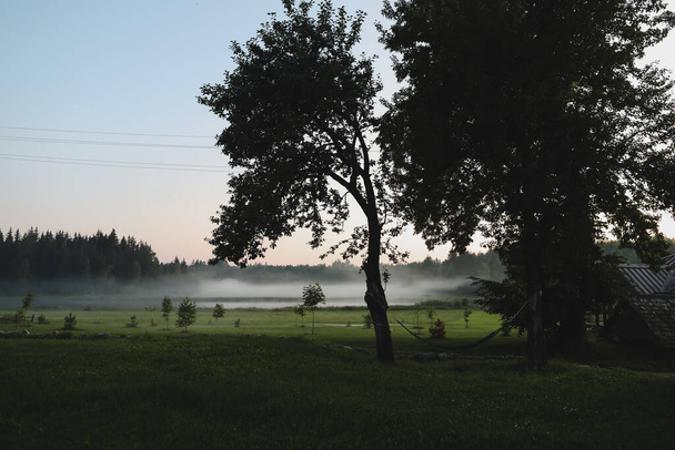 légköri ködös rét mező és nyári táj naplementekor - Fotó, kép