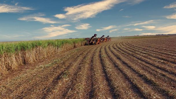 Сахарный тростник Hasvest плантации с тремя машинами просмотра антенны - Фото, изображение