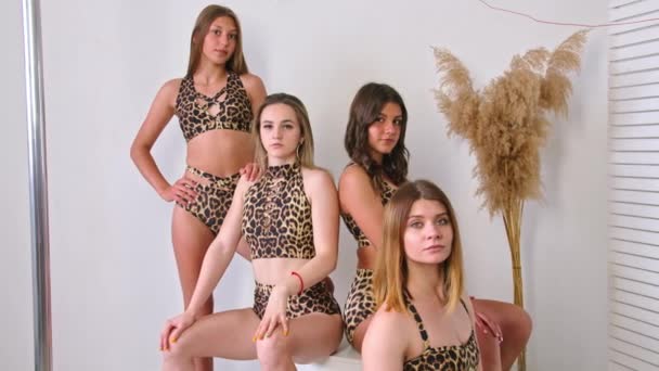 girls pose in a photo studio in swimsuits, advertising them for sale. Prores422. - Footage, Video