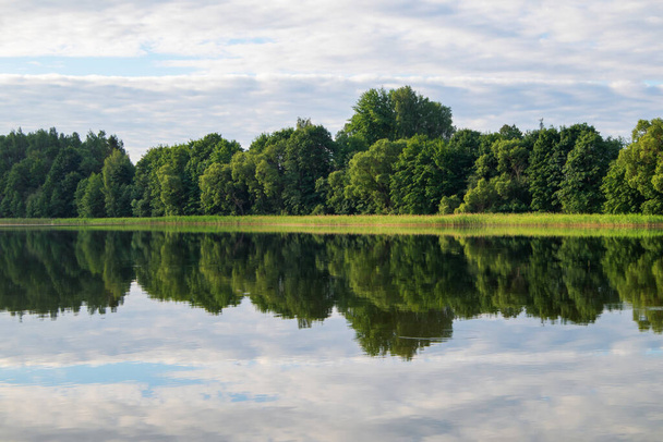 Rive du lac en été. Reflet des arbres verts et des nuages dans l'eau. - Photo, image