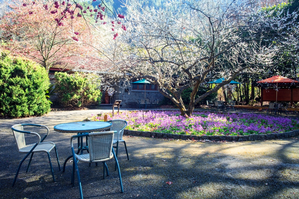 Hermoso jardín Sakura en Wuling F
 - Foto, imagen