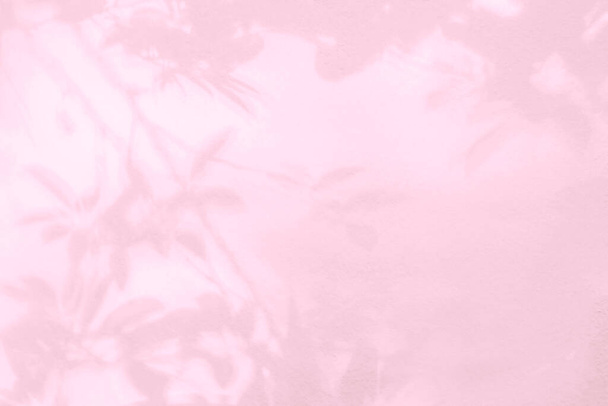 Bladschaduw en boomtak aan de muur. ; Natuur laat boom tak roze schaduw en licht van zonlicht op de muur textuur voor achtergrond behang en elk ontwerp - Foto, afbeelding