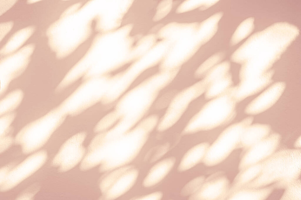 Abstracte lichte schaduw van bladeren bokeh wazig achtergrond. Natuurlijke diagonale bladeren boomtak roze schaduwen en zonlicht gedoopt op witte muur textuur, schaduw overlay effec - Foto, afbeelding