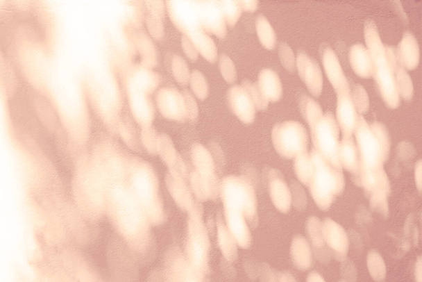 Абстрактна світла тінь рожевого листя боке розмитий фон. Природне діагональне листя гілки дерева бежеві тіні та сонячне світло, прикрашене текстурою білої стіни
 - Фото, зображення