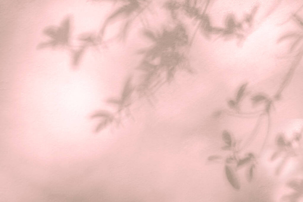 Bladschaduw en boomtak aan de muur. Natuur laat boom tak roze schaduw en licht van zonlicht op muur textuur achtergrond. Schaduw-overlay-effect voor gebladerte mockup, banner grafische draaibank - Foto, afbeelding