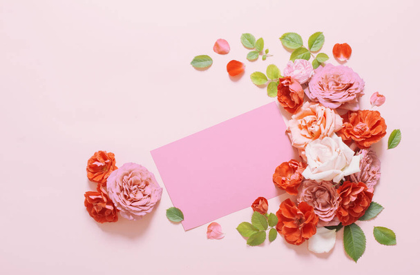 beautiful roses on pink paper background - 写真・画像