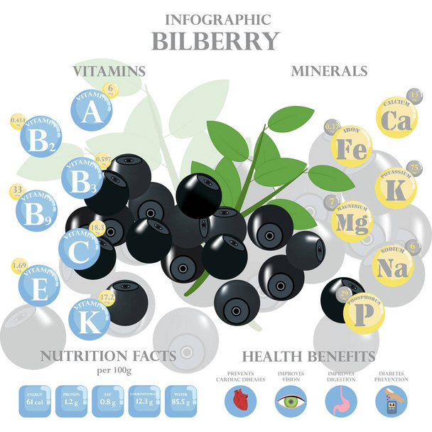 Infografika a tápanyagokról az áfonyában. Vektor illusztrációja áfonya, vitaminok, bogyók, egészséges élelmiszer, tápanyag, diéta. Vitaminok és ásványi anyagok. Az áfonya egészségügyi előnyei. - Vektor, kép
