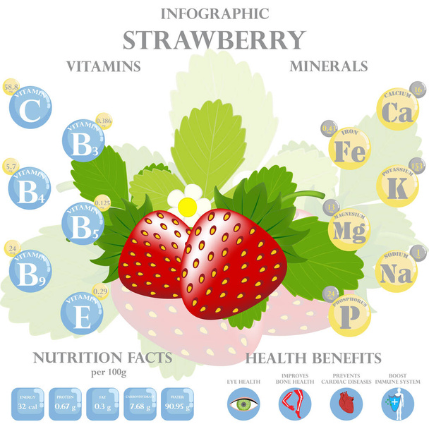 Infografik über Nährstoffe in Erdbeeren. Vektorillustration von Erdbeeren, Vitaminen, Beeren, gesunder Ernährung, Nährstoffen, Ernährung. Vitamine und Mineralstoffe. Gesundheitliche Vorteile der Erdbeere. - Vektor, Bild