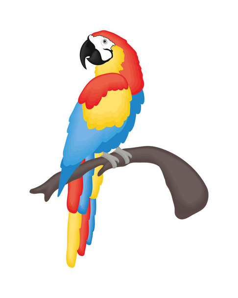 Cute macaw cartoon - Vektor, obrázek