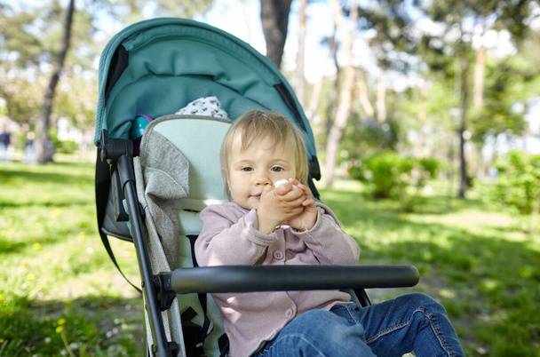 Μωρό σε καρότσι σε μια βόλτα στο πάρκο άνοιξη. Αξιολάτρευτο κοριτσάκι με κοινά ρούχα που κάθεται σε μπλε καρέκλα. Παιδί σε αμαξάκι - Φωτογραφία, εικόνα