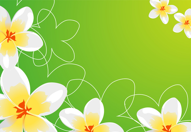 Beautiful Floral vector background (white flowers on green) - Vektör, Görsel