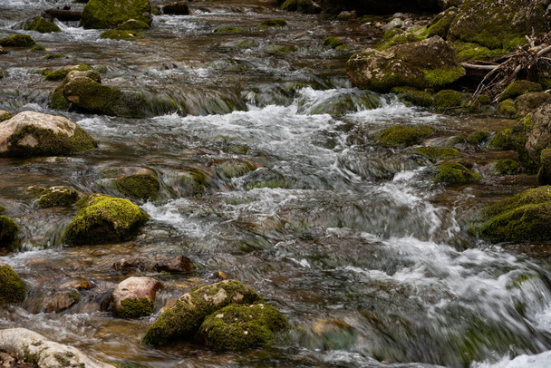 Mountain river close up. Shallow river among large stones. Rough course of the river - Fotoğraf, Görsel